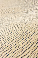 Stovepipe Wells sand dunes, Death Valley NP, California,USA