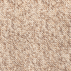 beige - brown carpet texture