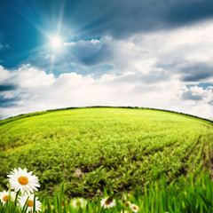 Beauty summer day on the farm, natural backgrounds