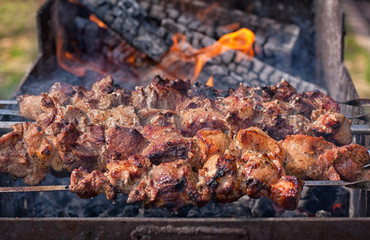 Shish kebab on skewers on the fire