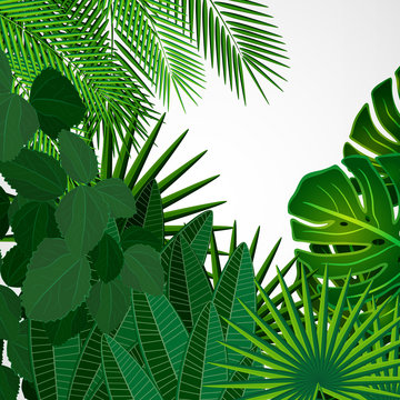 Tropical leaves. Floral design background.