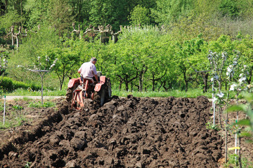 Fototapeta premium agricultor con tractor trabajando en el campo 1193-f14