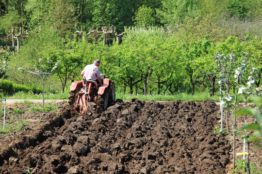 agricultor con tractor trabajando en el campo 1193-f14