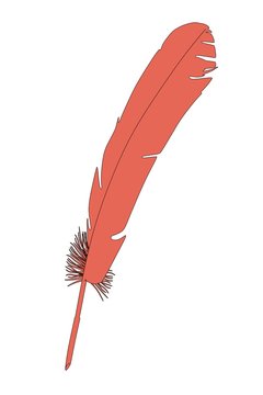cartoon illustration of quill