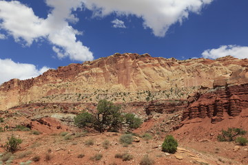 Fototapeta premium capitol Reef