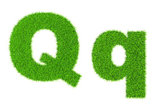 Grass letter Q