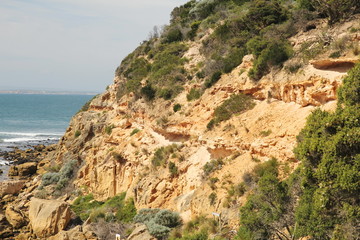 Fototapeta na wymiar Australian coast