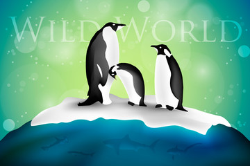 Antarctica with penguins and snow