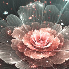 Naklejki  różowy i szary abstrakcyjny kwiat