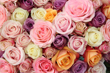 Pastel wedding roses