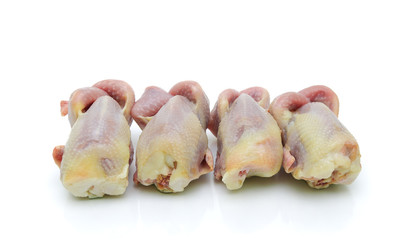 raw quail carcass on a white background