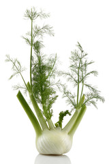 Fennel © mates