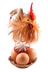 Easter, chicken, egg, isolated on a white background