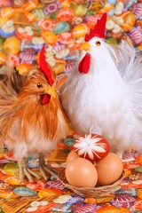 Easter, chicken, egg, on a colored background