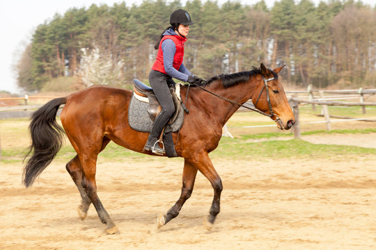 Young woman riding a horse