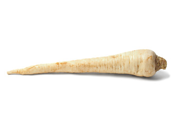 Parsley root on white