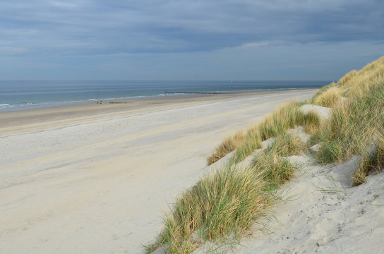 Dunes, beach and sea in Zeeland, Netherlands