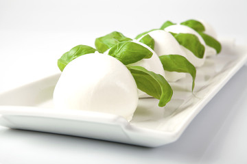 Mozzarelle con basilico