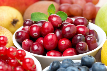 large fresh cranberries, fruits and berries