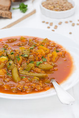 Spicy tomato soup with green lentils and vegetables in a plate