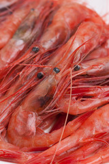 殻付きのアマエビ