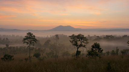 Thailand Landscape