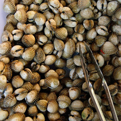 Scallops on local market