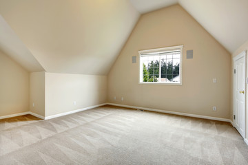 Empty room with vaulted ceiling