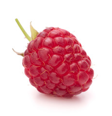 Sweet raspberry isolated on white background cutout