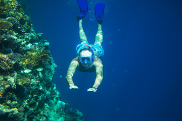 Fototapeta premium Snorkel