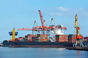 Container stack and ship under crane bridge