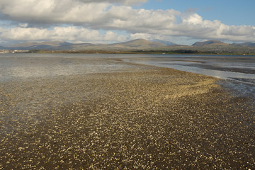 Cockle beach.