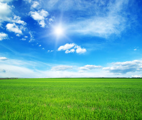 Obraz premium landscape