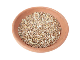 Untreated raw wheat grain in bowl of clay