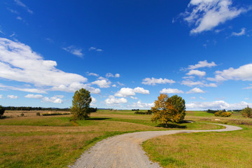 Fototapeta na wymiar Rural autumn landscape