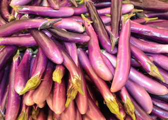 Chinese Eggplant