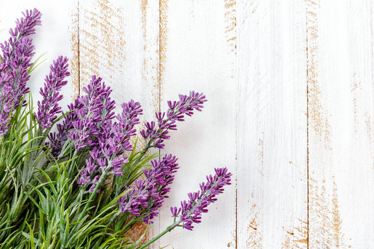 Fototapeta Lavender