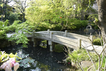 Fototapeta premium 日本庭園