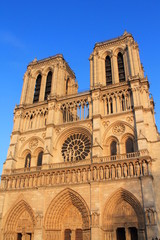 Fototapeta na wymiar Cathédrale Notre Dame de Paris