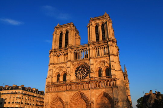 Cath&eacute;drale Notre Dame de Paris