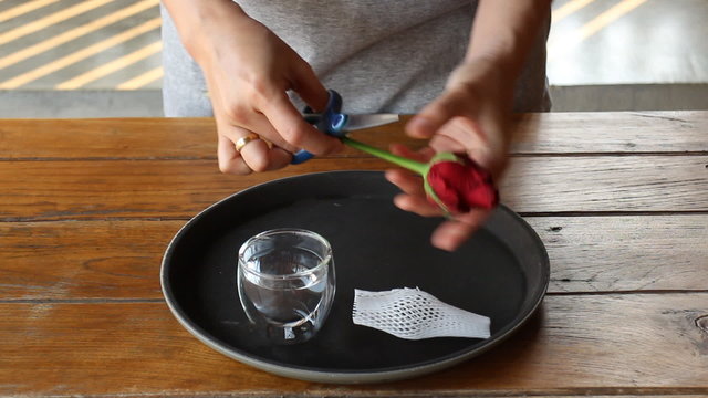 Woman Picked Single Red Rose To Glass, stock footage