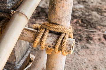 Rope bind to the bamboo