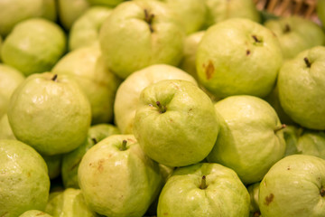 Guava 1