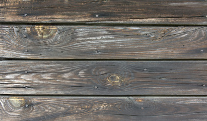 Drewno © Zbyszek Nowak