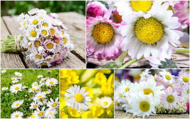 Grußkarte: Liebe Grüße mit Gänseblümchen :) © doris oberfrank-list