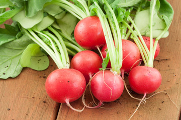 bunch of fresh organic radish