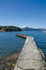 Obraz premium Mt. Fuji Ashino Lake