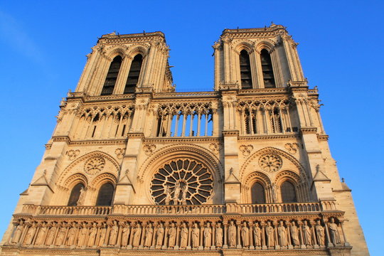 Cath&eacute;drale Notre Dame de Paris