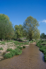 Little river, Santa Coloma, Catalonia