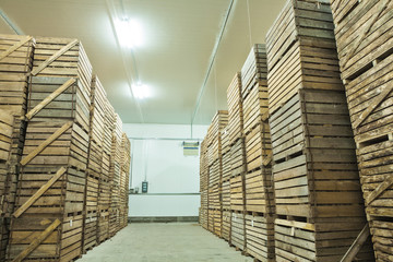 view on crates  of potato in storage house